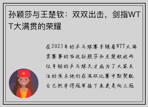 孙颖莎与王楚钦：双双出击，剑指WTT大满贯的荣耀