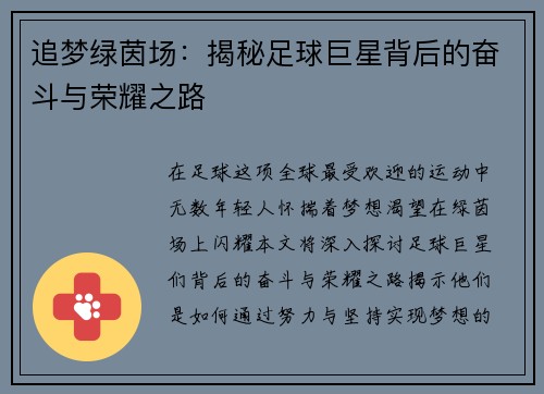 追梦绿茵场：揭秘足球巨星背后的奋斗与荣耀之路
