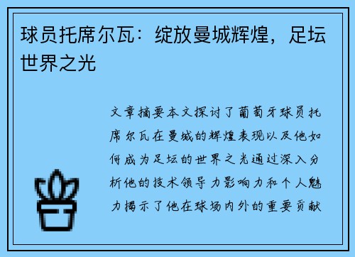 球员托席尔瓦：绽放曼城辉煌，足坛世界之光