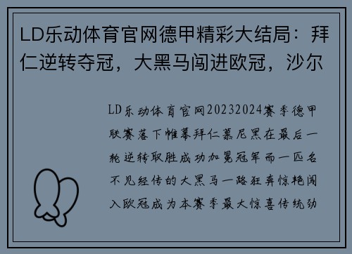 LD乐动体育官网德甲精彩大结局：拜仁逆转夺冠，大黑马闯进欧冠，沙尔克04降级！ - 副本