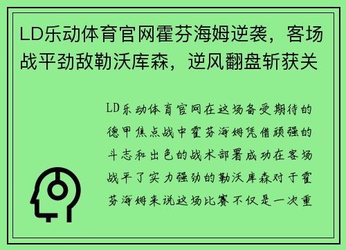 LD乐动体育官网霍芬海姆逆袭，客场战平劲敌勒沃库森，逆风翻盘斩获关键一分