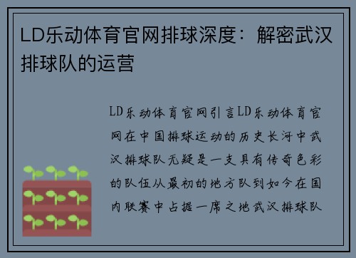 LD乐动体育官网排球深度：解密武汉排球队的运营