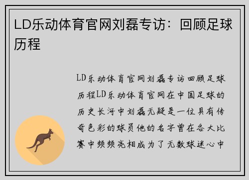 LD乐动体育官网刘磊专访：回顾足球历程